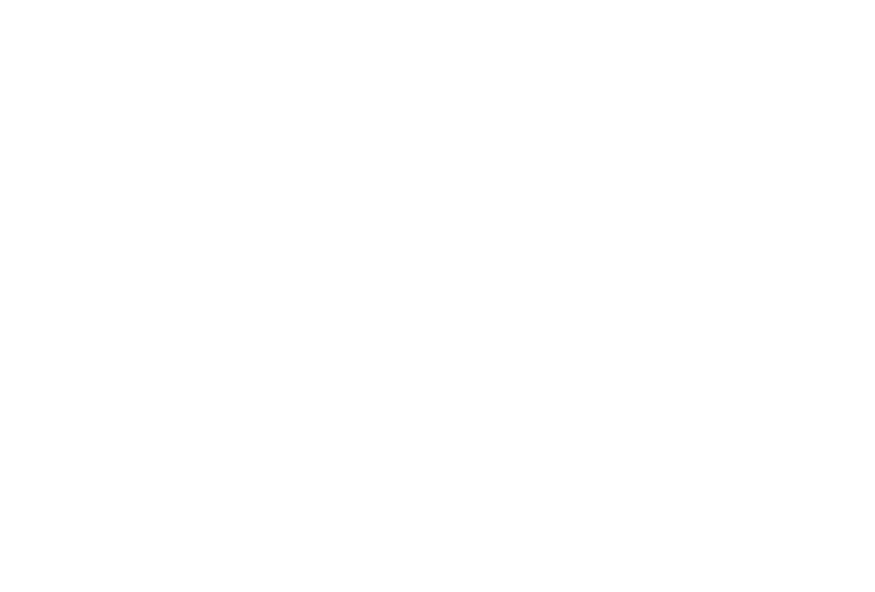 Brush Strokes CSRA